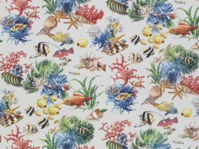Aquatica Oyster CNAK070003 by Grey Watkins Designer Fabric 100% COTTON ITALY MEDIUM DUTY Horizontal: 35" and Vertical: 27.5" 55 - Swanky Fabrics -