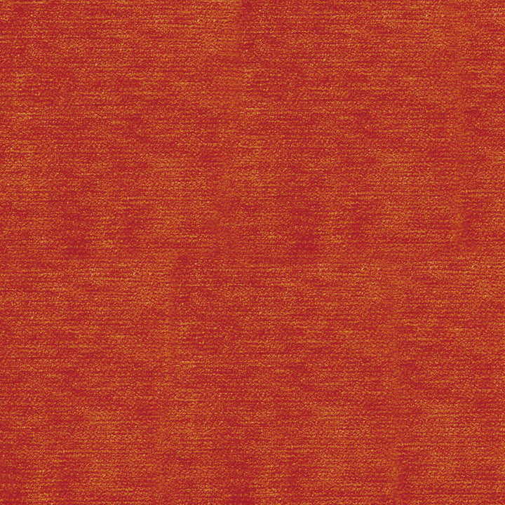 COCO 27J7081 by JF Designer Fabric Winning Weaves V Book 100% Polyester India  Horizontal:  and Vertical:  54  - Swanky Fabrics -