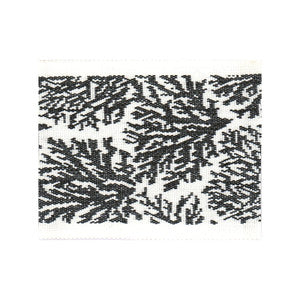 Stout Trim Columbia Tape 1 Domino