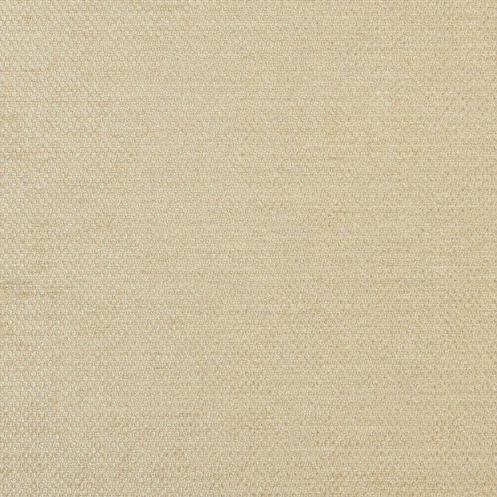 COMBAT 33J7081 by JF Designer Fabric Winning Weaves V Book 100% Polyester India  Horizontal:  and Vertical:  55  - Swanky Fabrics -
