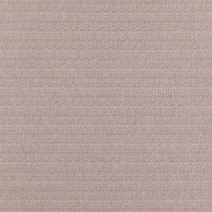 COMMANDER 43J7351 by JF Designer Fabric Winning Weaves VI - Woven Book 100% Polyester India  Horizontal:  and Vertical:  57  - Swanky Fabrics -