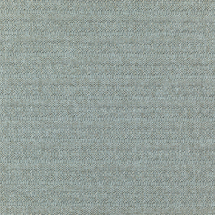 COMMANDER 65J7351 by JF Designer Fabric Winning Weaves VI - Woven Book 100% Polyester India  Horizontal:  and Vertical:  57  - Swanky Fabrics -