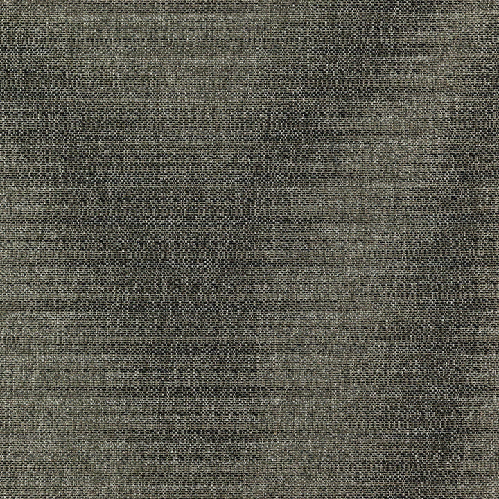 Commander 97J7351 by JF Designer Fabric Winning Weaves VI - Woven Book 100% Polyester India 40000 Horizontal: and Vertical: 57 - Swanky Fabrics -