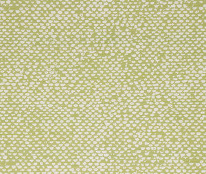 Bella-Dura Fabric Conga Lime