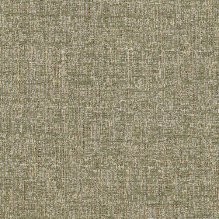 Conlin 2 Aloe by Stout Designer Fabric THE ART OF COLOR WELL KEPT SECRET 55%POL 45%COT INDIA WYZENBEEK 60 000 DOUBLE RUB WEAR TEST (HEAVY DUTY) Horizontal: 0.000 and Vertical: 0.000 54 in - Swanky Fabrics -