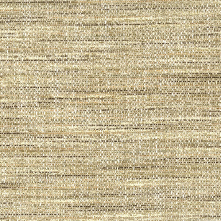 Conway 2 Mushroom by Stout Designer Fabric COMFORTABLE LIVING IVORY/SAND 84%POL 16%SVI INDIA CATB 117-2013 WYZENBEEK 50 000 DOUBLE RUB WEAR TEST (HEAVY DUTY) Horizontal: 0 and Vertical: 0 54 in - Swanky Fabrics -