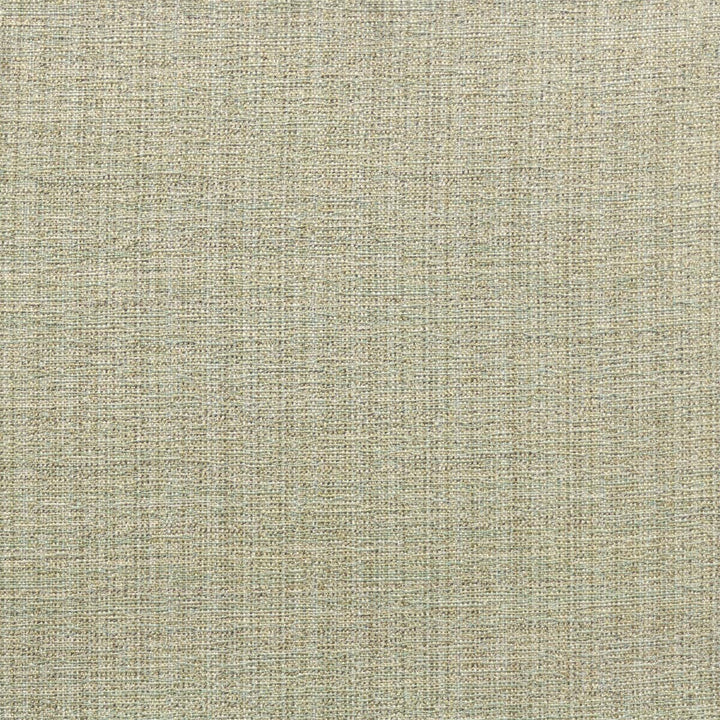 Coolidge 1 Robinsegg by Stout Designer Fabric COLOR MY WINDOW SEAGLASS/GLACIER 50%SVI 27%POL 23%COT CHINA </p><p>Repeat: 0 57 in - Swanky Fabrics -