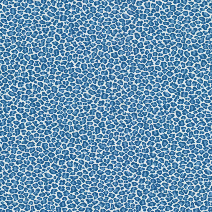 Copycat 1 Bluebird by Stout Designer Fabric RAINBOW LIBRARY HAZE/SKY 100%COT SPAIN PERFORMANCE RATED FABRIC FLAME RETARDANT-N.F.P.A. 260A CLASS 1 CATB 117-2013 WYZENBEEK 500 000 DOUBLE RUB WEAR TEST(EXTREMELY HEAVY DUTY) Horizontal: 4.500 and Vertical: 4.500 54 in - Swanky Fabrics -