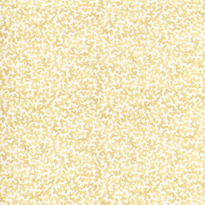 Kravet Fabric Coralcoast Cornsilk CORALCOAST.14.0