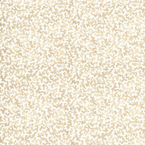 Kravet Fabric Coralcoast Sand CORALCOAST.161.0