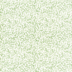 Kravet Fabric Coralcoast Sage CORALCOAST.30.0