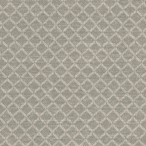 Crypton Fabric Corey 2 Hemp