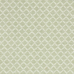 Crypton Fabric Corey 5 Aloe