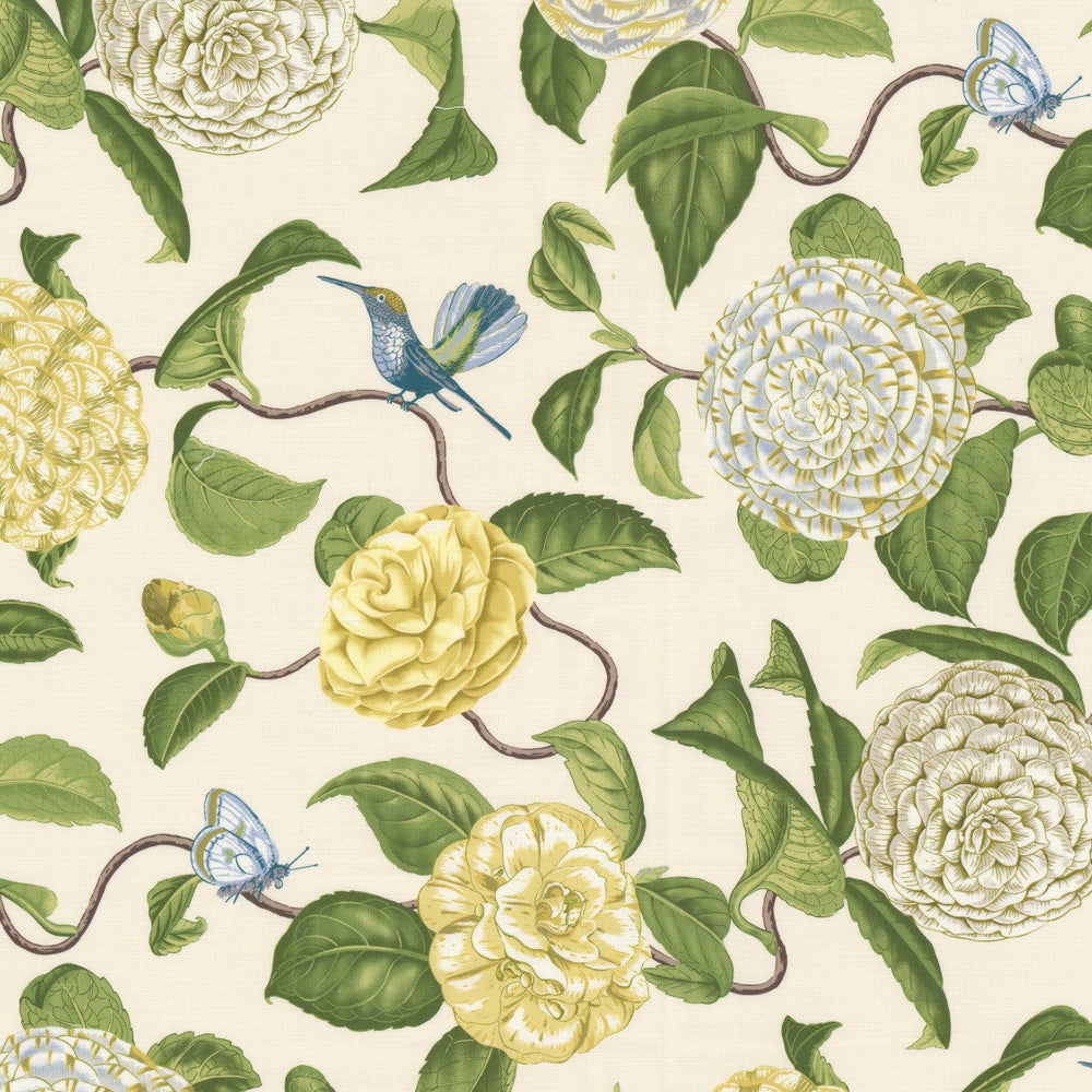 Cosset 1 Seedling by Stout Fabric Stout Fabric Cosset 1 SeedlingFabric RAINBOW LIBRARY SAGE/CYPRESS 100%COT PERU </p><p>Repeat: H: 13.500, V: 27.000 54 in - Fabric Carolina -
