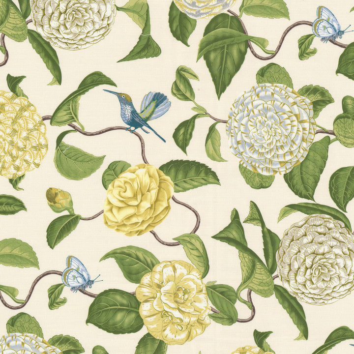 Cosset 1 Seedling by Stout Fabric Stout Fabric Cosset 1 SeedlingFabric RAINBOW LIBRARY SAGE/CYPRESS 100%COT PERU </p><p>Repeat: H: 13.500, V: 27.000 54 in - Fabric Carolina -