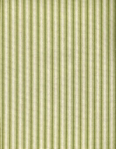 Cove Jungle by Norbar Designer Fabric ARCADE 100% COTTON 1/2"H 55 - Swanky Fabrics -
