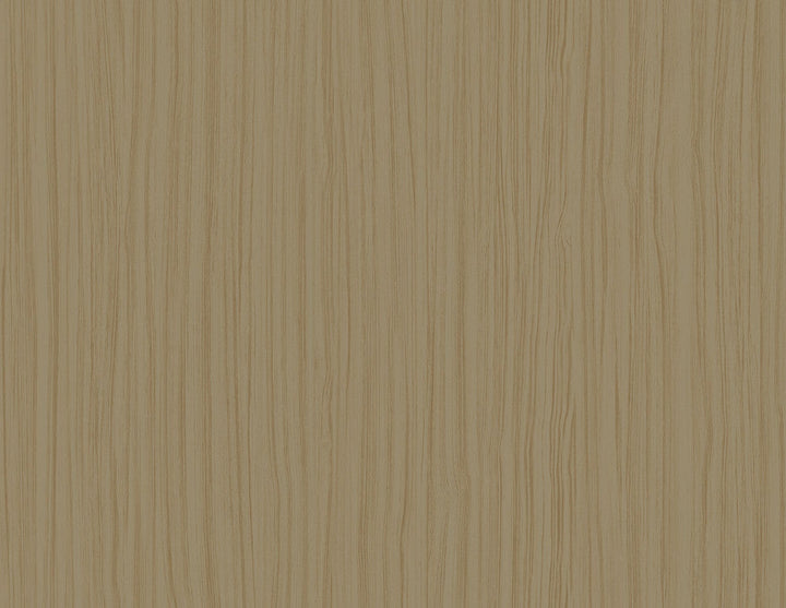 Salo Latte CP91707 by Seabrook Designs Designer Wallpaper