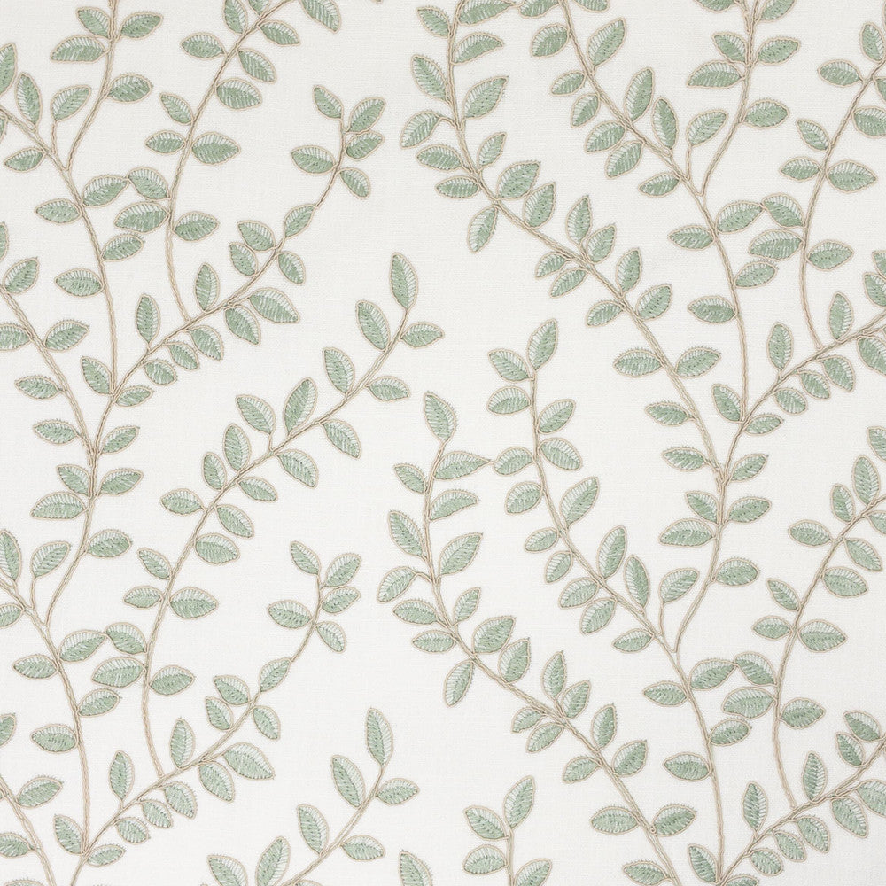 Creed 1 Aloe by Stout Designer Fabric RAINBOW LIBRARY SPRING/EVERGREEN 100%POL %PEMB INDIA Horizontal: 13.000 and Vertical: 9.500 52 in - Swanky Fabrics -
