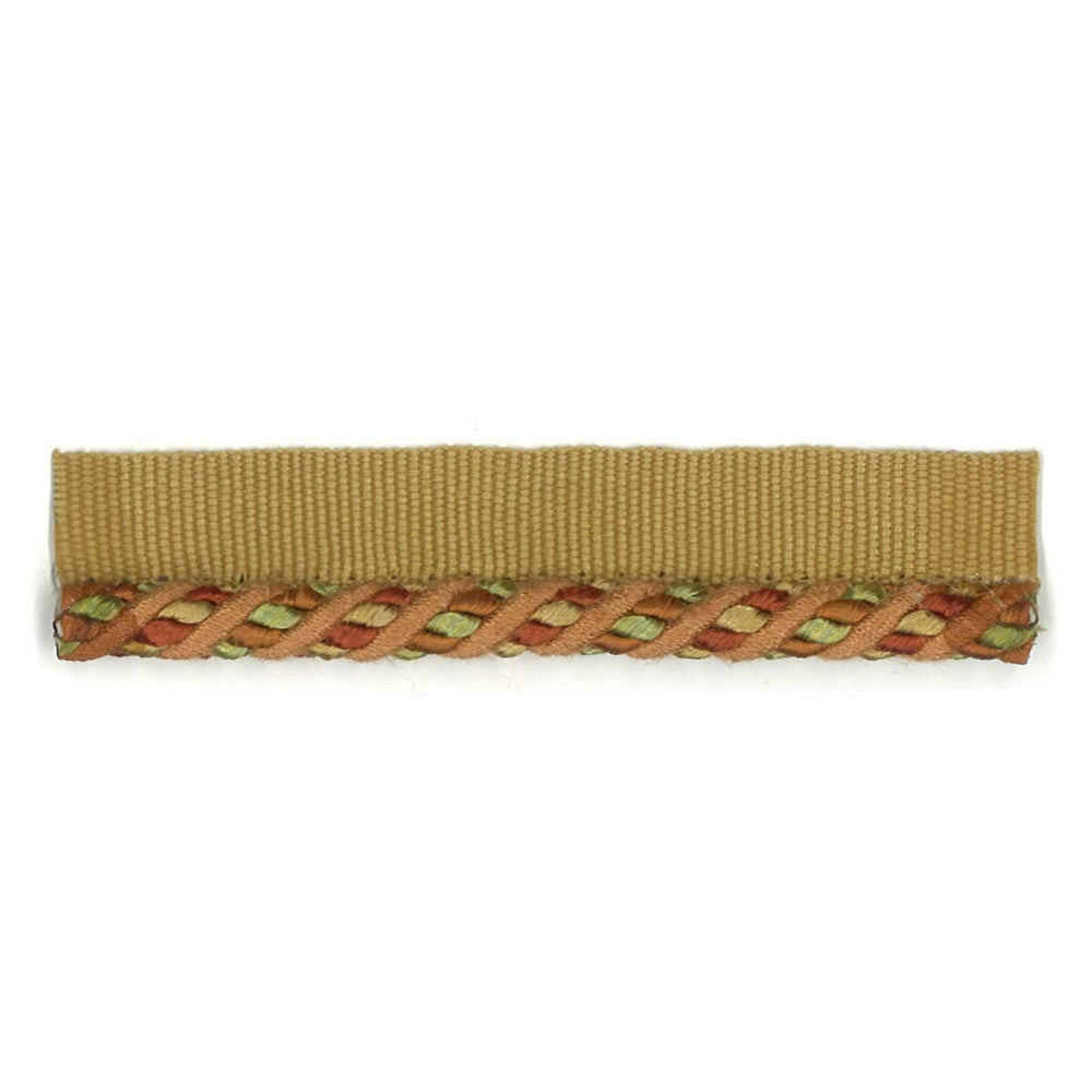 Cristabel 12 Tangerine by Stout Designer Trim ART OF DESIGN TRIM-2 CORDS 53%COT 47%SVI CHINA FLAME RETARDANT-U.F.A.C. CLASS 1 WYZENBEEK 12 000 DOUBLE RUB WEAR TEST (MEDIUM DUTY) Horizontal: 0.000 and Vertical: 0.000 0.25 in - Swanky Fabrics -