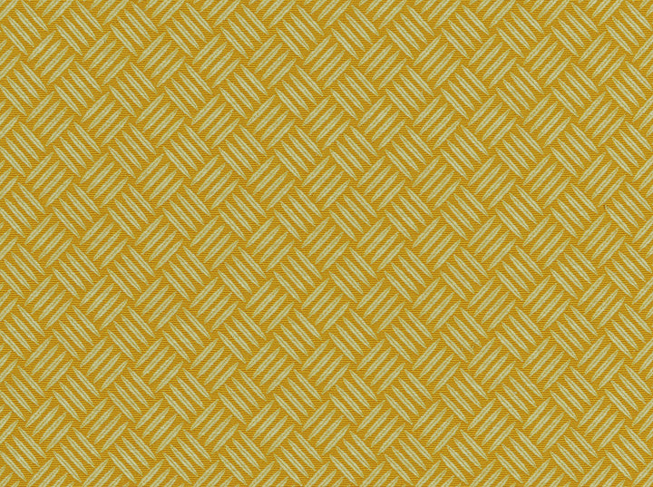 Criss Cross Citrine 831 by Covington Designer Fabric 55% COTTON/45% POLYESTER TAI 50000 Horizontal: 1.25 and Vertical: 1.25 54 - Swanky Fabrics -