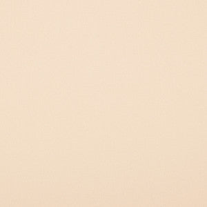 Magnolia Fabric Crypton Home Burkes Eggshell