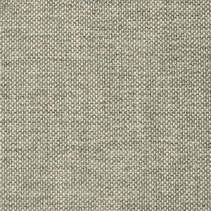 Magnolia Fabric Crypton Home Wiley Eucalyptus