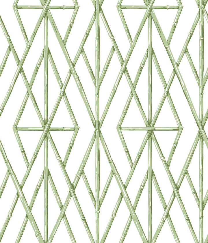 Riviera Bamboo Trellis Green Wallpaper by York Wallcoverings Designer Water's Edge Resource Library Covers about 56.4 square feet 20.5-in by 33-ft long roll Prepasted 24 - Swanky Fabrics -