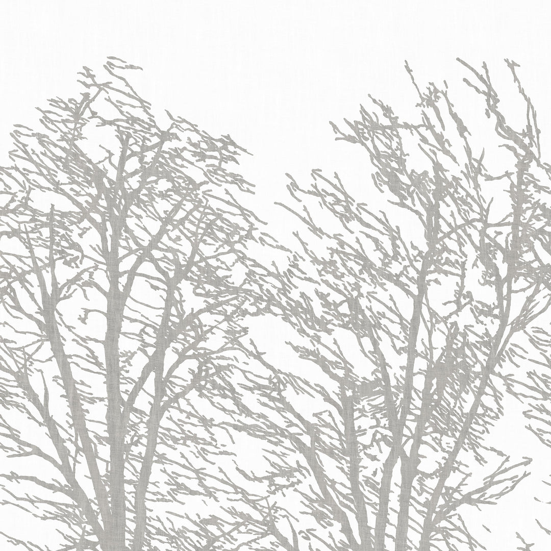 INVERNO MURAL White/Silver CWM10090 by Coraggio Designer Wallpaper