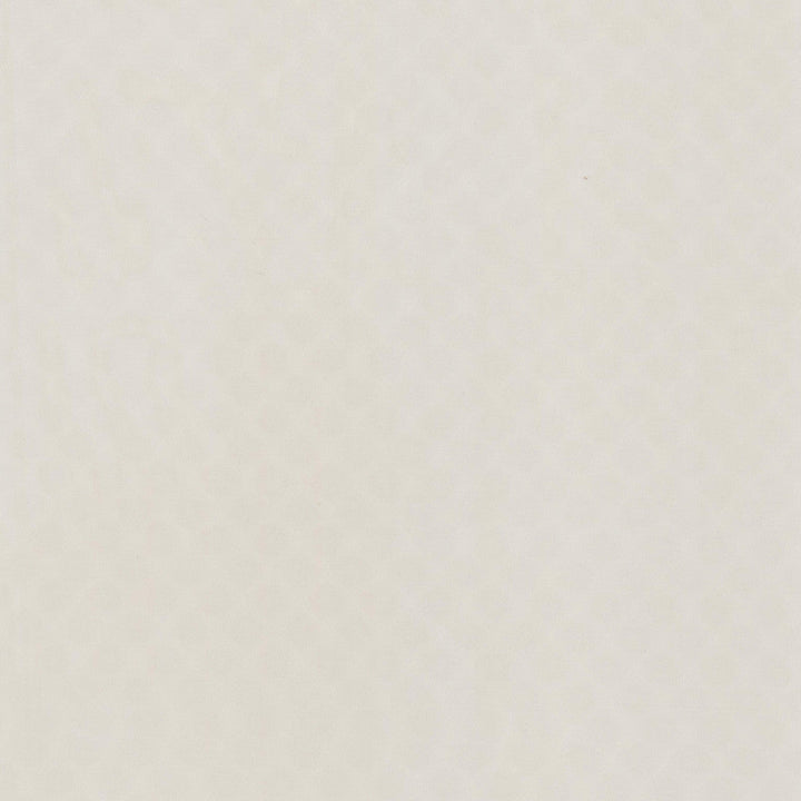 Cylinder 1 Pumice by Stout Fabric Stout Fabric Cylinder 1 PumiceFabric DAYDREAMS 100%POL TURKEY </p><p>Repeat: H: 0.000, V: 0.000 118 in - Fabric Carolina -