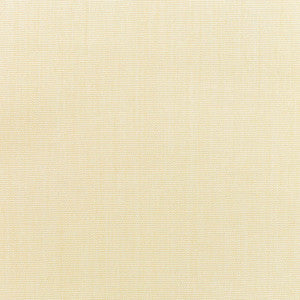 Sunbrella Fabric 5498 Canvas Vellum