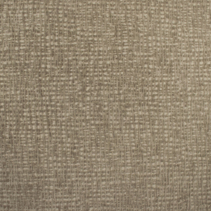 Carolina Mushroom by Europatex Designer Fabric Carolina 100% Polyester 0.00" 55.00 inches - Swanky Fabrics -