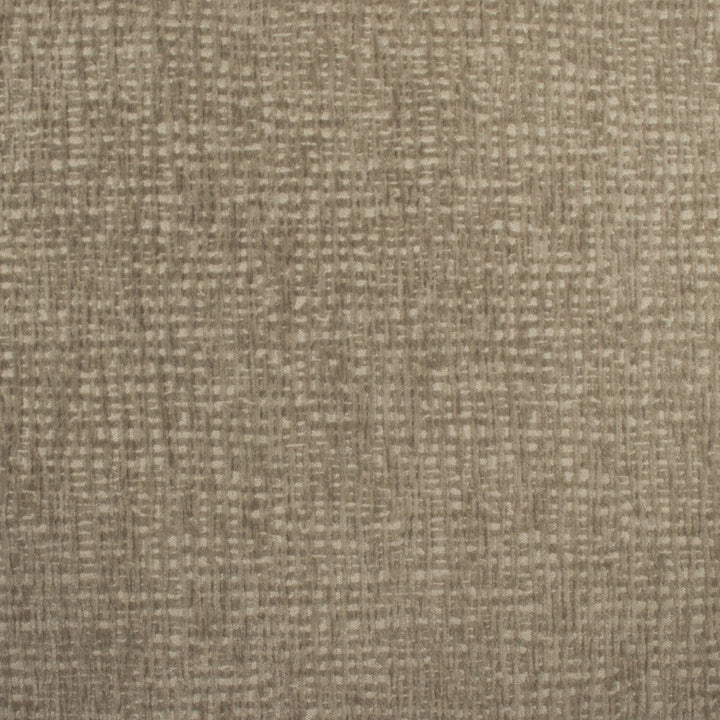 Carolina Mushroom by Europatex Designer Fabric Carolina 100% Polyester China 40,000 Double Rubs Horizontal: N/A and Vertical: N/A 55" - Swanky Fabrics -
