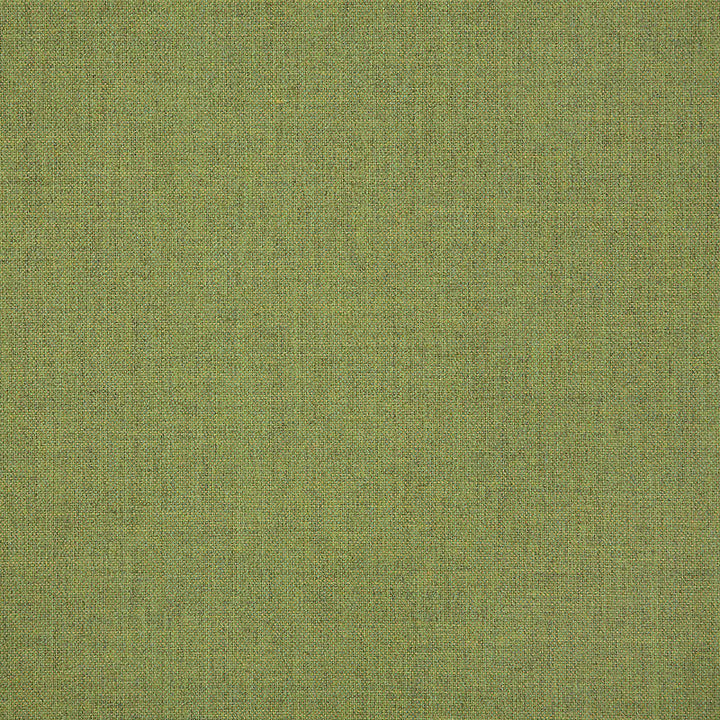 48109 Cast Moss by Sunbrella Designer Fabric Cushion Furniture Drapery Fabrics > Sunbrella Solids 100% Acrylic USA or Imported n/a 54" - Swanky Fabrics -