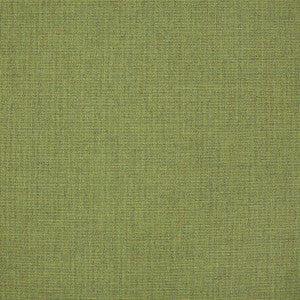 Sunbrella Fabric 48109 Cast Moss