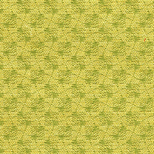 Crypton Fabric Celestial Midori