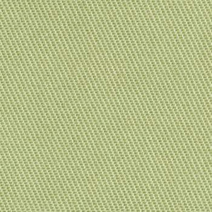 Crypton Fabric Chino Aloe
