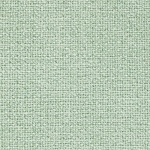 Crypton Fabric Chronicle Mint