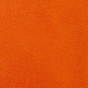 Nassimi Fabric Clarke Coral