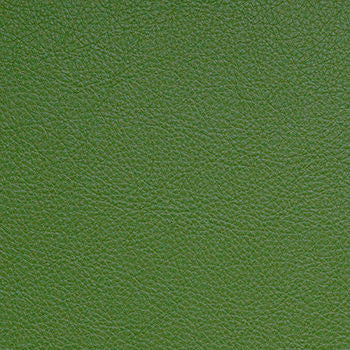 Classic Fern SCL-210 by Nassimi Designer Fabric See sample 100% Vinyl USA or Imported Water-based cleaning agents and foam may be used for cleaning. Cleaning by a professional cleaning service is recommended. </p><p>Repeat: Horizontal: and Vertical: 54" - Swanky Fabrics -