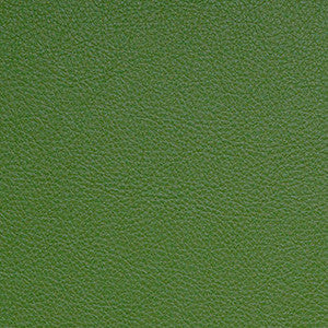 Nassimi Fabric Classic Fern