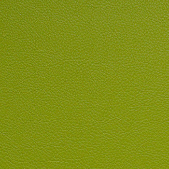 Classic Granny Smith by Nassimi Designer Fabric See sample 100% Vinyl  500000 Horizontal: Not Applicable and Vertical: Not Applicable 54"  - Swanky Fabrics -