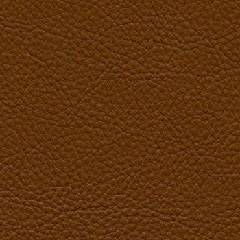 Classic Mustang by Nassimi Designer Fabric See sample 100% Vinyl  500000 Horizontal: Not Applicable and Vertical: Not Applicable 54"  - Swanky Fabrics -