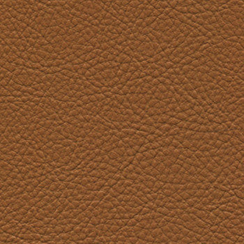 Classic Rodeo by Nassimi Designer Fabric See sample 100% Vinyl  500000 Horizontal: Not Applicable and Vertical: Not Applicable 54"  - Swanky Fabrics -