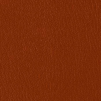 Colorguard Manzanita B439160 by Omnova Designer Fabric See sample 100% Vinyl USA or Imported Water-based cleaning agents and foam may be used for cleaning. Cleaning by a professional cleaning service is recommended. </p><p>Repeat: Horizontal: and Vertical: 54" - Swanky Fabrics -