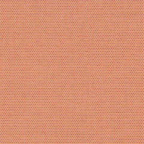 SJA P101 137 Solids Coral