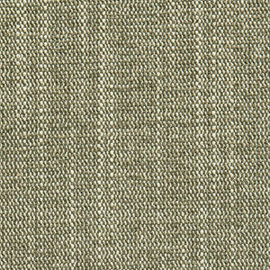 Crypton Fabric Course Moss