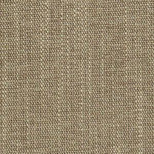 Crypton Fabric Course Rice