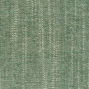 Crypton Fabric Course Spruce