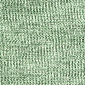 Crypton Fabric Cove Aloe