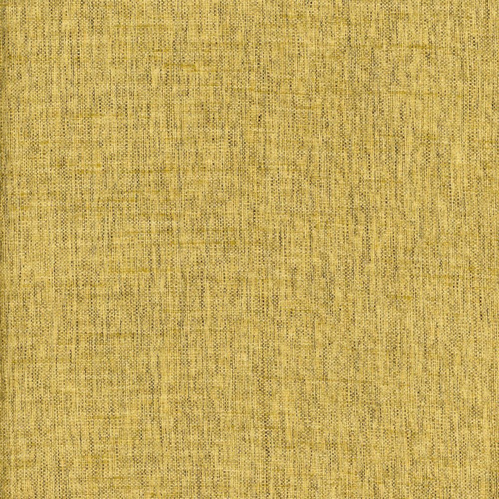 Cruz Fern by Heritage Fabric - 100% Polyester USA or Imported Horizontal: 3.13" and Vertical: 54" - Fabric Carolina -